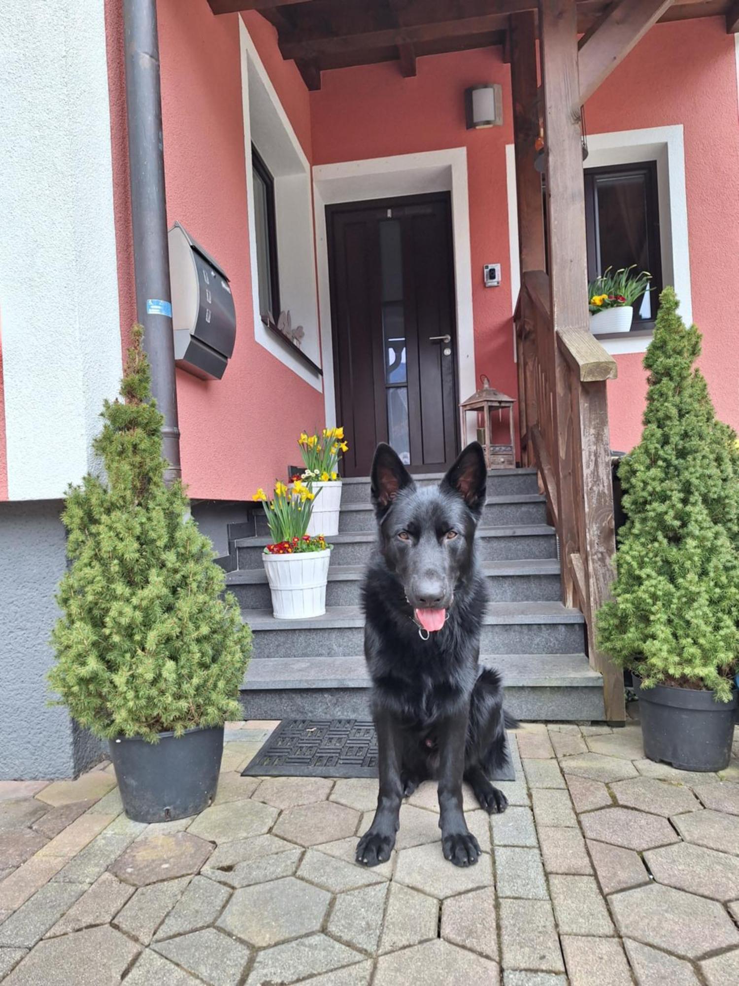 Haus Hoell Herta Hallstatt Exterior foto