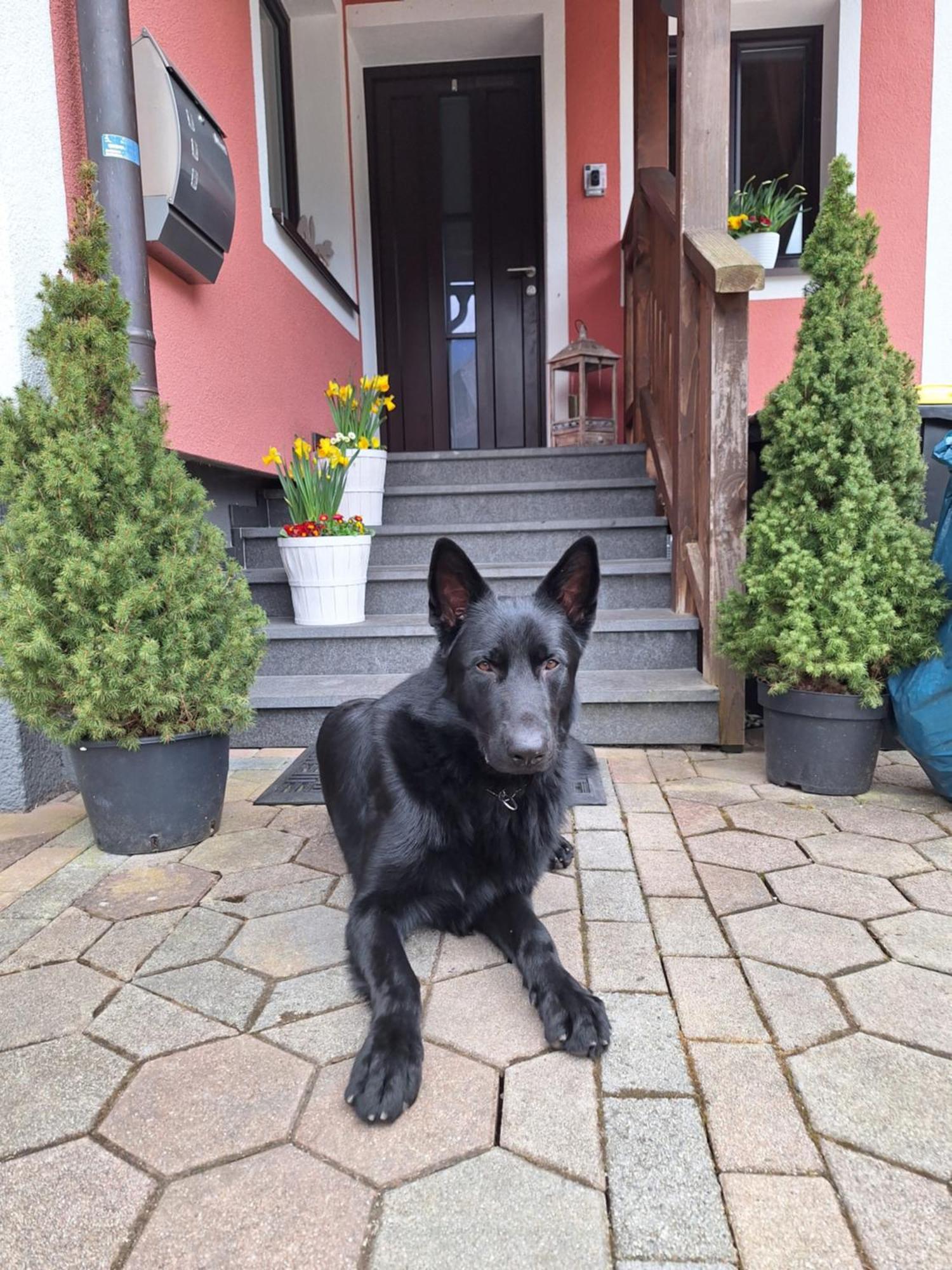 Haus Hoell Herta Hallstatt Exterior foto